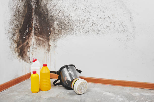 Best Crawl Space Mold Removal  in Clinton, UT