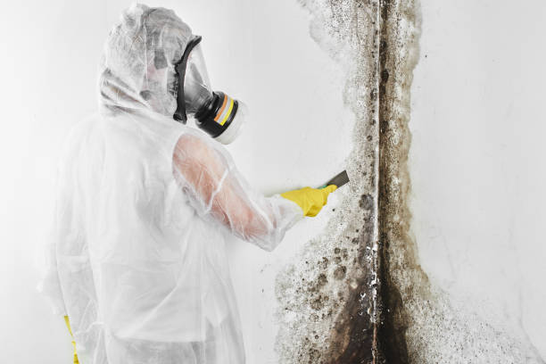 Water Damage Restoration in Clinton, UT