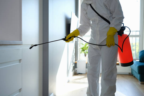 Best Residential Mold Removal  in Clinton, UT