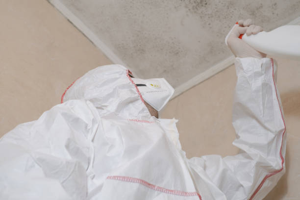 Best Attic Mold Removal  in Clinton, UT