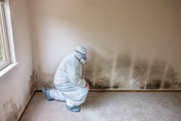 Best Office Mold Removal Services  in Clinton, UT